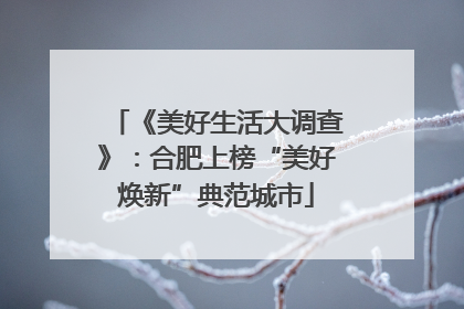 《美好生活大调查》：合肥上榜“美好焕新”典范城市