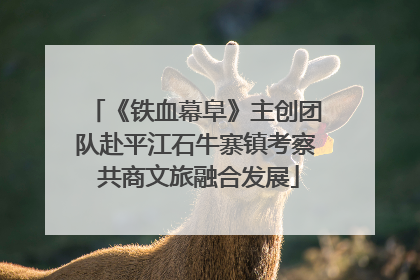 《铁血幕阜》主创团队赴平江石牛寨镇考察 共商文旅融合发展