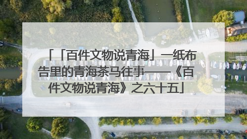 「百件文物说青海」一纸布告里的青海茶马往事——《百件文物说青海》之六十五