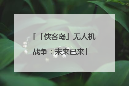 「侠客岛」无人机战争：未来已来
