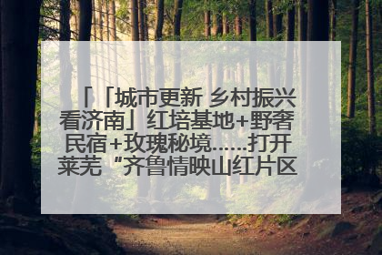 「城市更新 乡村振兴看济南」红培基地+野奢民宿+玫瑰秘境……打开莱芜“齐鲁情映山红片区”的破圈秘籍