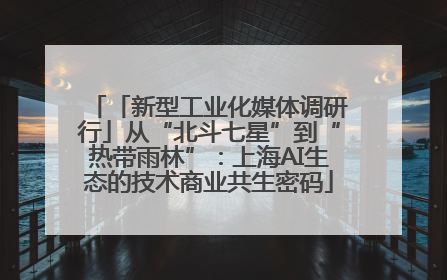 「新型工业化媒体调研行」从“北斗七星”到“热带雨林”：上海AI生态的技术商业共生密码