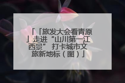 「旅发大会看青原」走进“山川第一江西景” 打卡城市文旅新地标（图）