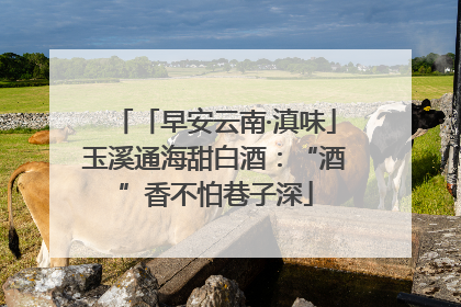 「早安云南·滇味」玉溪通海甜白酒：“酒”香不怕巷子深
