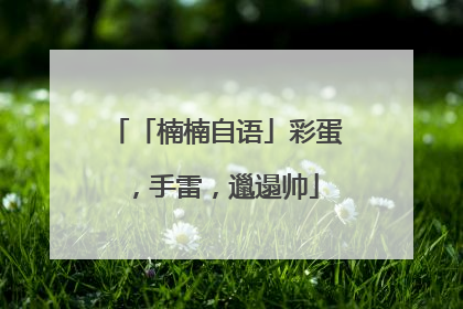 「楠楠自语」彩蛋，手雷，邋遢帅