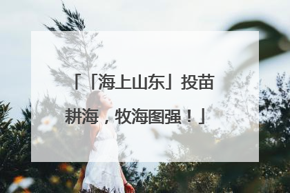 「海上山东」投苗耕海，牧海图强！