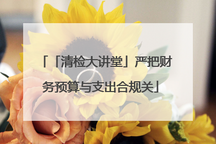 「清检大讲堂」严把财务预算与支出合规关