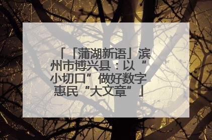 「蒲湖新语」滨州市博兴县：以“小切口”做好数字惠民“大文章”