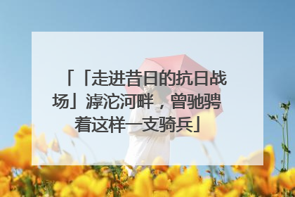 「走进昔日的抗日战场」滹沱河畔，曾驰骋着这样一支骑兵