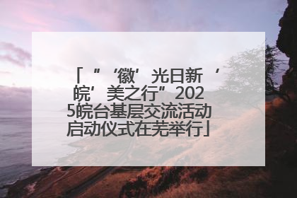 “‘徽’光日新‘皖’美之行”2025皖台基层交流活动启动仪式在芜举行