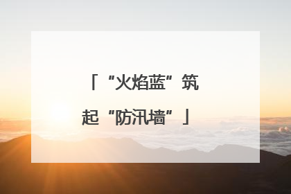 “火焰蓝”筑起“防汛墙”