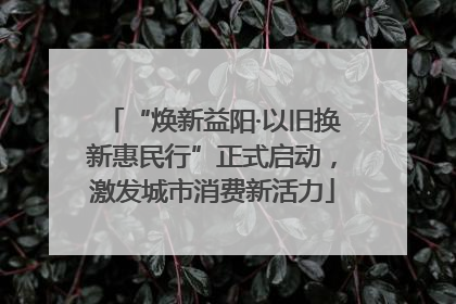 “焕新益阳·以旧换新惠民行”正式启动，激发城市消费新活力