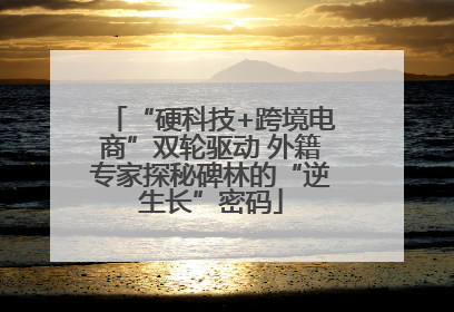 “硬科技+跨境电商”双轮驱动 外籍专家探秘碑林的“逆生长”密码