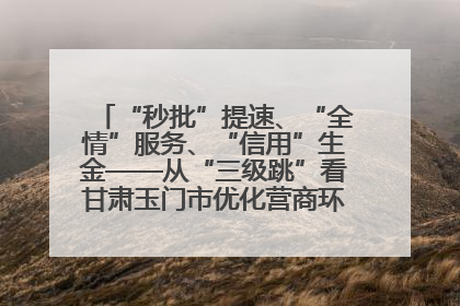 “秒批”提速、“全情”服务、“信用”生金——从“三级跳”看甘肃玉门市优化营商环境的进阶之路