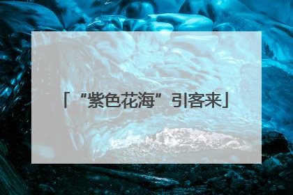 “紫色花海”引客来