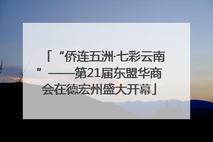 “侨连五洲·七彩云南”——第21届东盟华商会在德宏州盛大开幕
