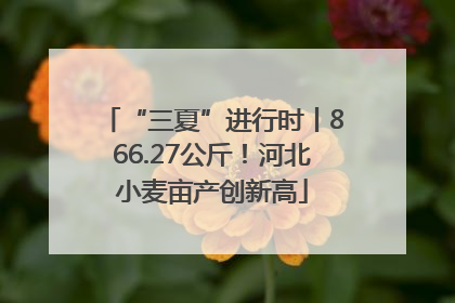 “三夏”进行时丨866.27公斤！河北小麦亩产创新高