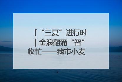 “三夏”进行时｜金浪翻涌“智”收忙——我市小麦开镰收割见闻