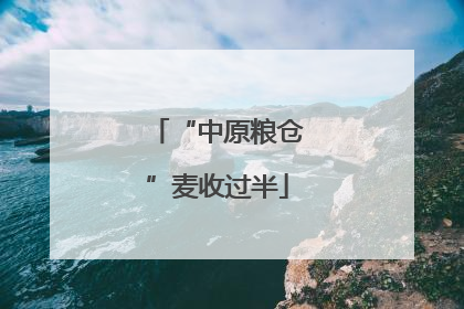 “中原粮仓”麦收过半