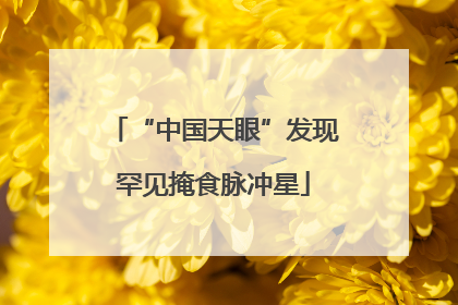 “中国天眼”发现罕见掩食脉冲星