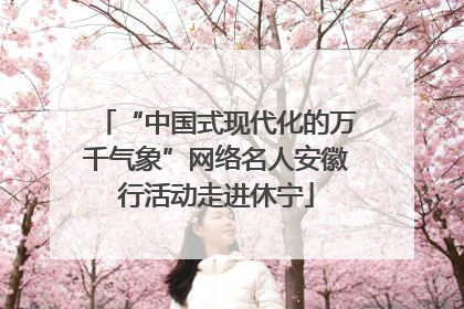“中国式现代化的万千气象”网络名人安徽行活动走进休宁