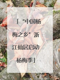 “中国杨梅之乡”浙江仙居启动杨梅季