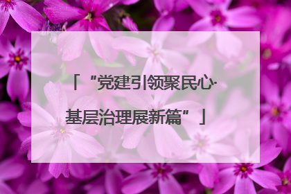 “党建引领聚民心·基层治理展新篇”