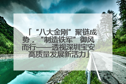 “八大金刚”聚链成势，“制造铁军”御风而行——透视深圳宝安高质量发展新活力