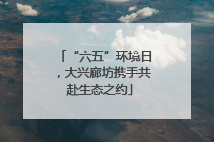 “六五”环境日，大兴廊坊携手共赴生态之约