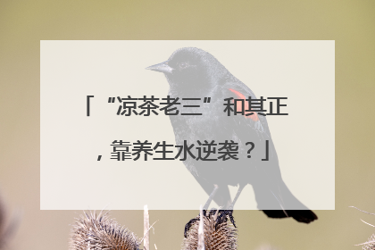 “凉茶老三”和其正，靠养生水逆袭？