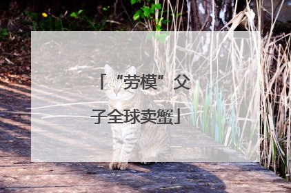 “劳模”父子全球卖蟹
