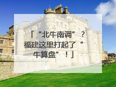 “北牛南调”？福建这里打起了“牛算盘”！