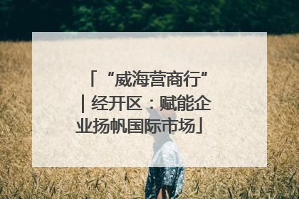 “威海营商行”｜经开区：赋能企业扬帆国际市场