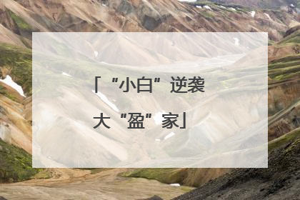 “小白”逆袭大“盈”家