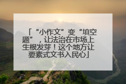 “小作文”变“填空题”，让法治在市场上生根发芽！这个地方让要素式文书入民心