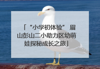 “小学初体验” 眉山彭山二小助力区幼萌娃探秘成长之旅