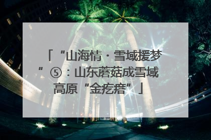 “山海情・雪域援梦”⑤：山东蘑菇成雪域高原“金疙瘩”