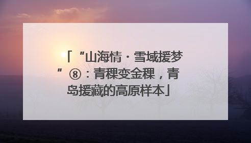 “山海情・雪域援梦”⑧：青稞变金稞，青岛援藏的高原样本