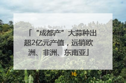 “成都产”大蒜种出超2亿元产值，远销欧洲、非洲、东南亚