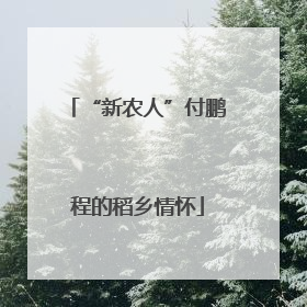 “新农人”付鹏程的稻乡情怀