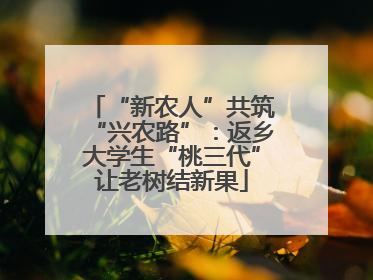 “新农人”共筑“兴农路”：返乡大学生“桃三代”让老树结新果