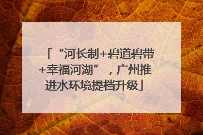 “河长制+碧道碧带+幸福河湖”，广州推进水环境提档升级