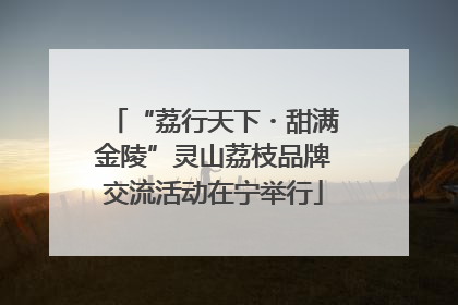 “荔行天下・甜满金陵”灵山荔枝品牌交流活动在宁举行