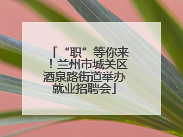 “职”等你来！兰州市城关区酒泉路街道举办就业招聘会