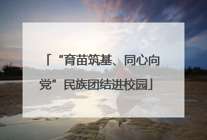 “育苗筑基、同心向党”民族团结进校园