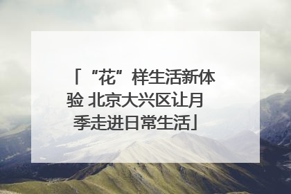 “花”样生活新体验 北京大兴区让月季走进日常生活