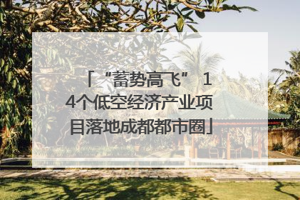 “蓄势高飞” 14个低空经济产业项目落地成都都市圈
