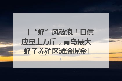 “蛏”风破浪！日供应量上万斤，青岛最大蛏子养殖区滩涂掘金