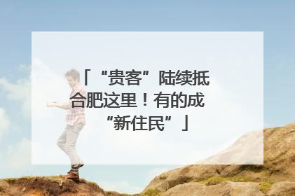 “贵客”陆续抵合肥这里！有的成“新住民”