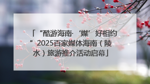 “酷游海南·‘媒’好相约”2025百家媒体海南（陵水）旅游推介活动启幕